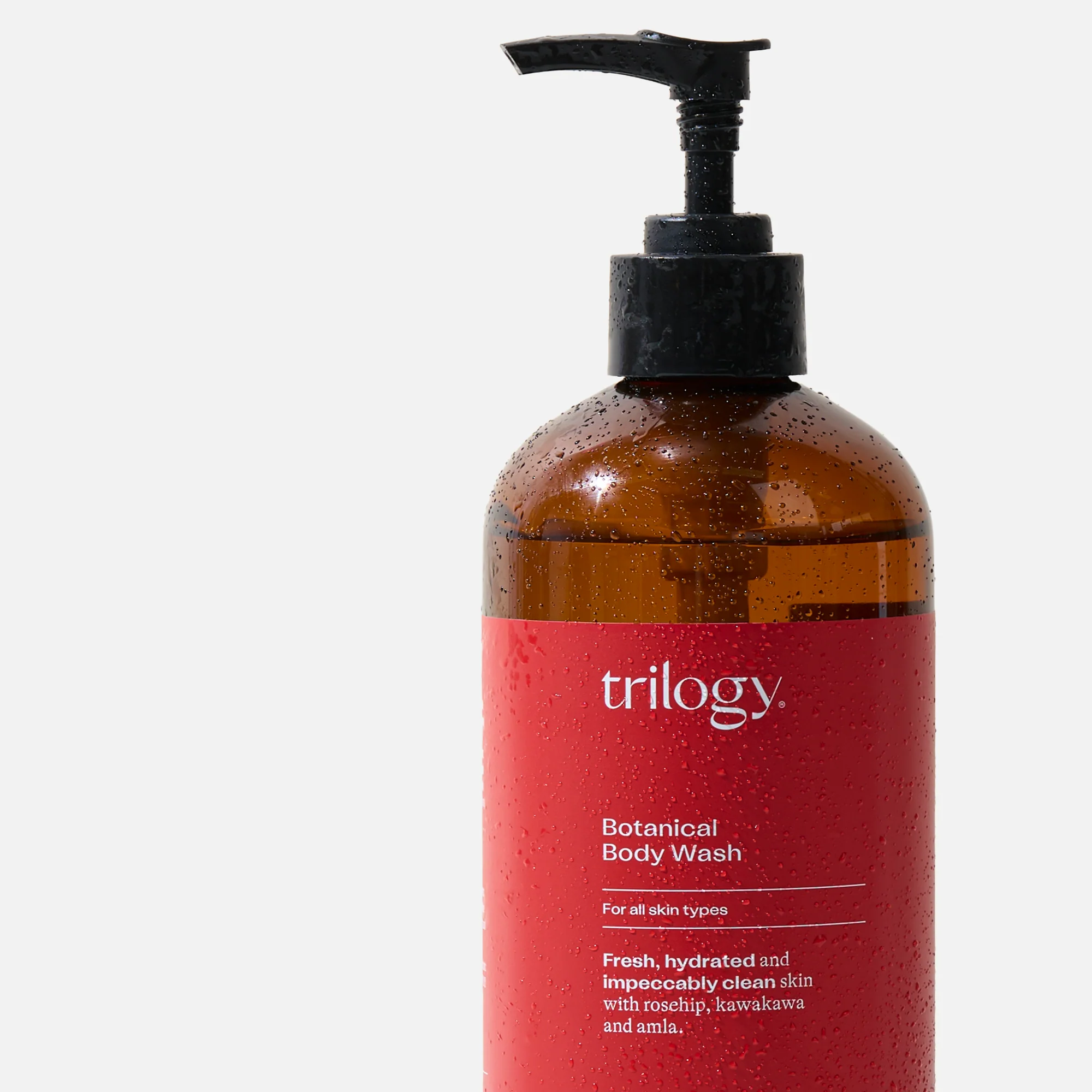 Botanical Body Wash - Image 4